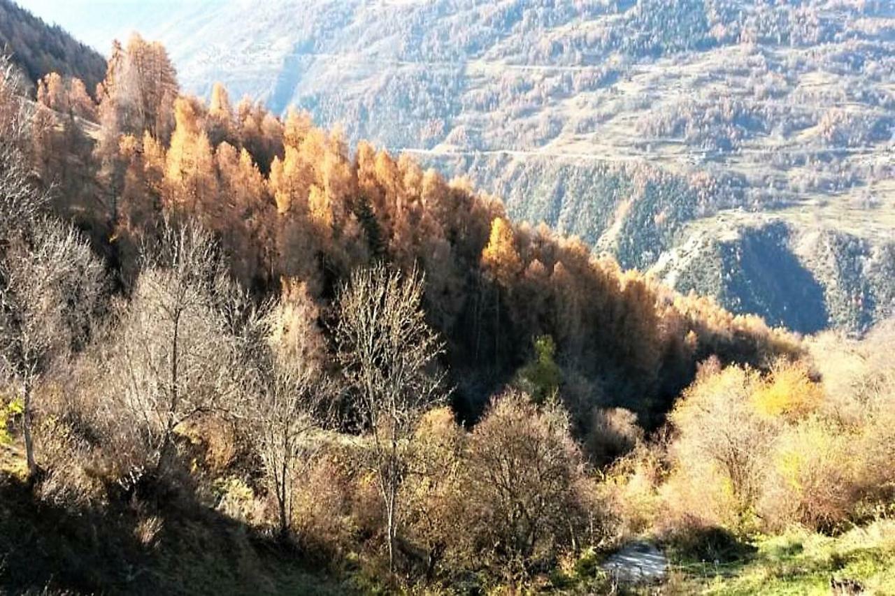 Vernamiège La Chaumiere D'Herens מראה חיצוני תמונה